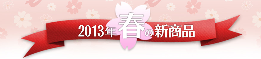 2013Nt̐Vi